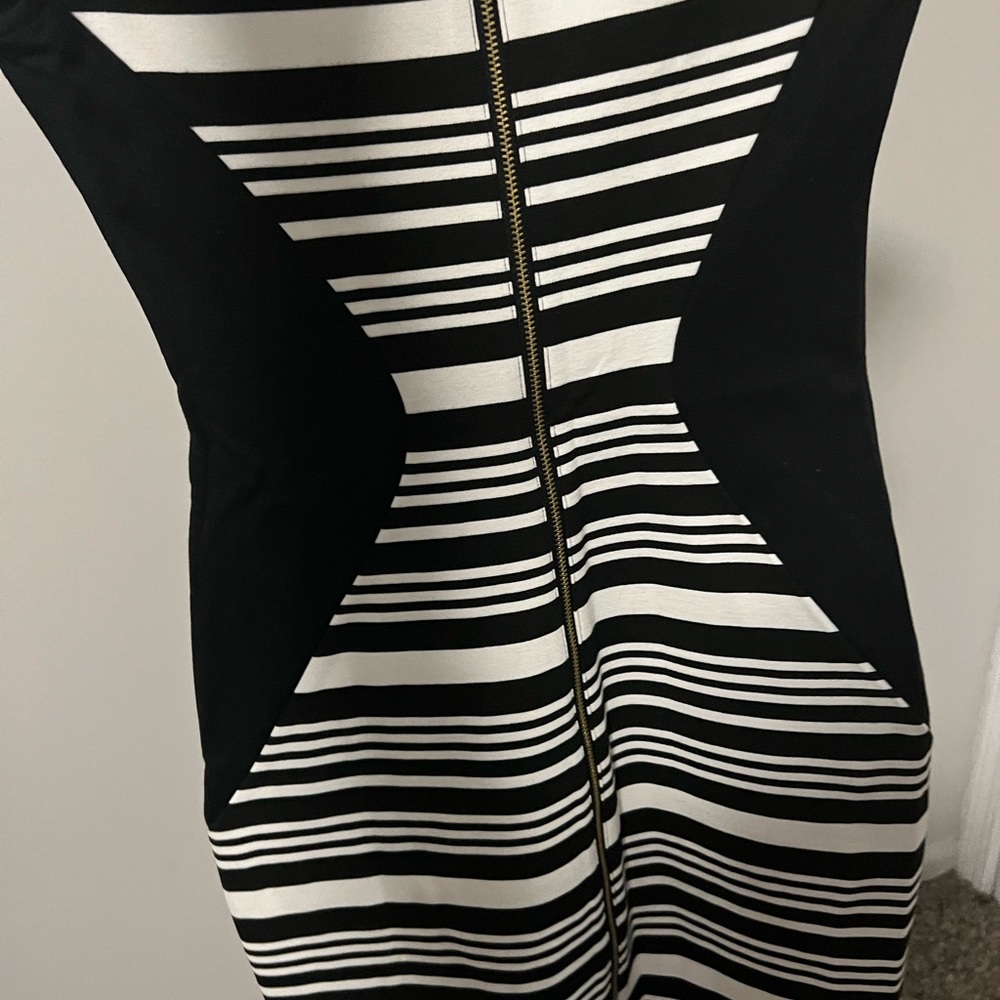 Express Dress - Picture 5 of 6